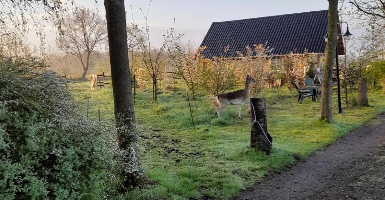 B&B Landgoed Sonneborghe Kollumerzwaag エクステリア 写真