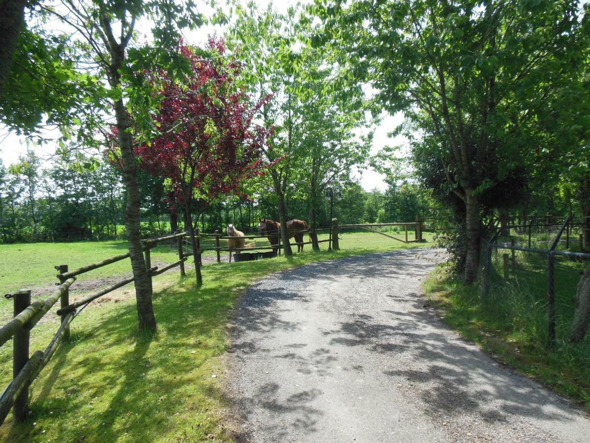 B&B Landgoed Sonneborghe Kollumerzwaag エクステリア 写真