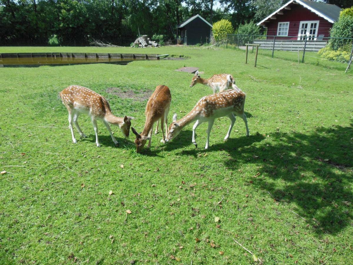 B&B Landgoed Sonneborghe Kollumerzwaag エクステリア 写真